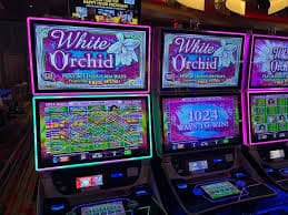 9sl apk Wins of Fortune